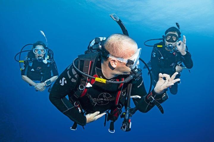 Learn to Dive